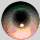 11.gif